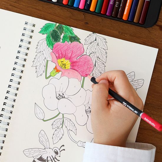 색을 칠하다 - 숫자 컬러링 북① (색칠하기 드로잉)