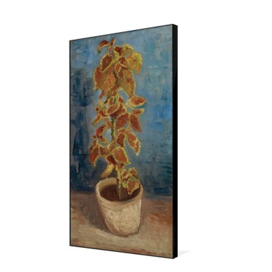 [THE BELLA] 고흐 - 쐐기풀이 있는 화분 