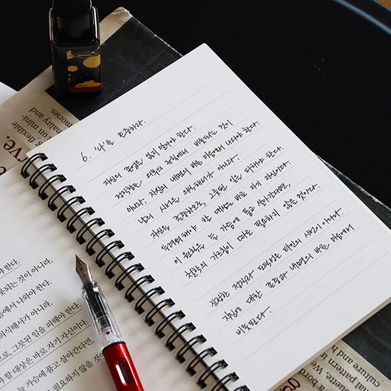 세계 고전 지혜 필사 <지혜의 기술> 필사 노트