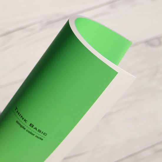 데이스토리 씽크베이직 컬러 유선노트 A5 10권