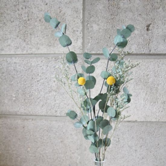 유칼립투스와 골든볼 갈란드 (프리저브드)