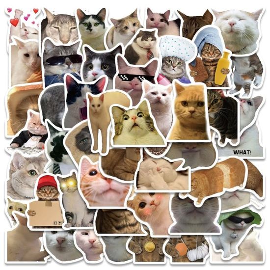 PVC 노트북 고양이 스티커 50장(WCC651D)