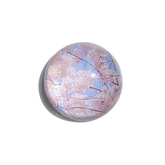 찬란한 벚꽃 문진