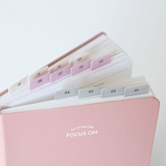 인덱스 스티커-데이포인트/포커스온