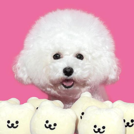 168cm[바스키x168cm] 곰찌 장난감