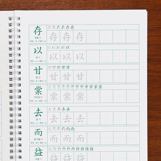 천자문을 쓰다 - 천자문 쓰기 노트 (어른 학습지⑩)