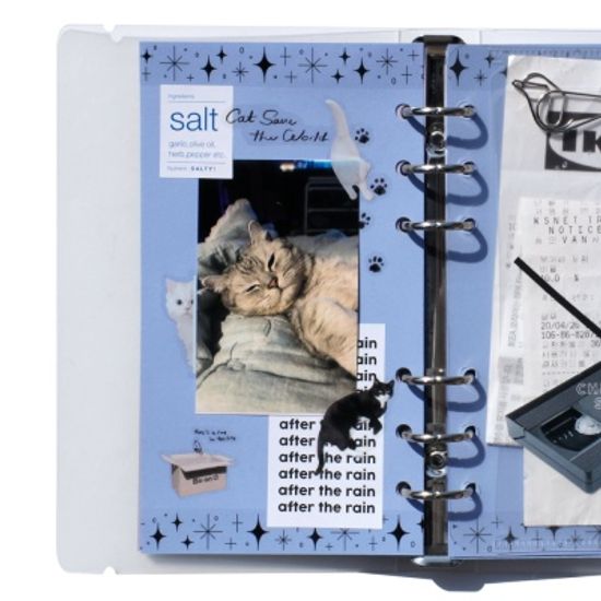 오브젝트 캣 스티커