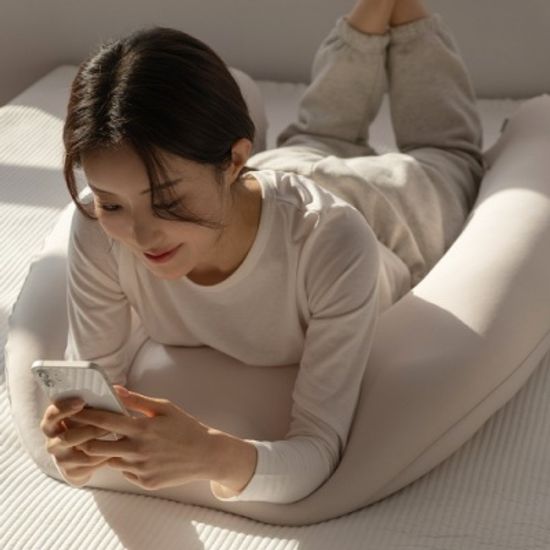 생활백서 쫀득 말랑 바디필로우