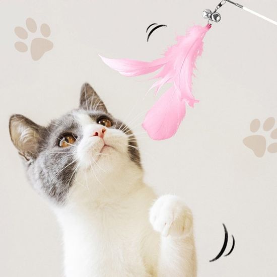 길이조절 고양이 낚시대 4p set