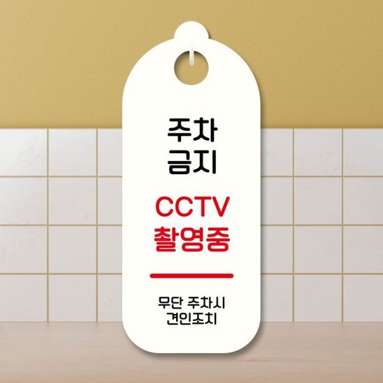 표지판 안내판 팻말 S9 215 주차금지 CCTV(WD707D2)