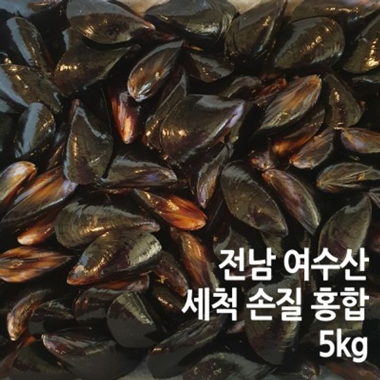 여수 산직 직송! 세척 손질 활 홍합 5kg