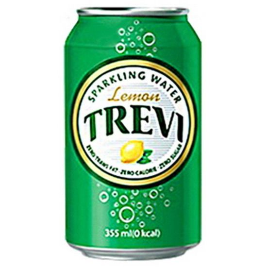 트레비 레몬 355ml/24캔