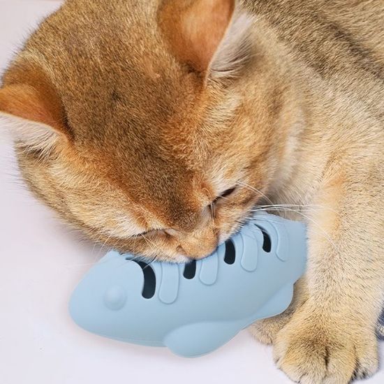 실리콘 먹이 고양이 장난감 스크레쳐 블루(WEE84A5)