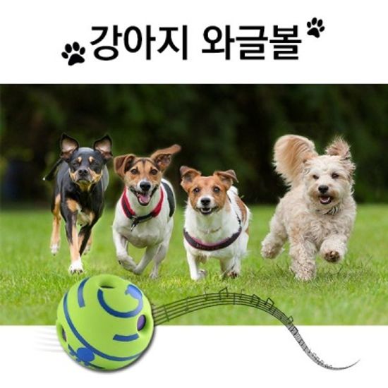 강아지 장난감 공 와글볼 기글볼 펫토이 분리불안