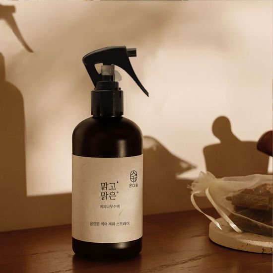 온다숲 계피수 룸스프레이 탈취제 250ml+계피큐브50g