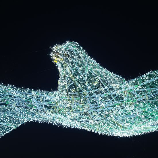 [도토로]은하수 300구 녹색선 LED 백색 지니전구(30M)