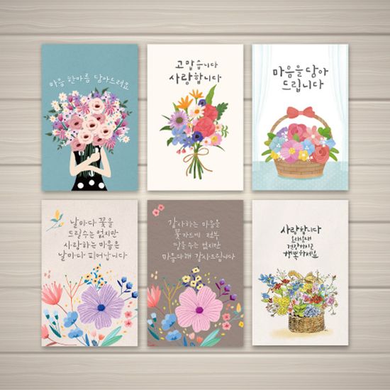 캘리그라피카드 감사카드 6종세트