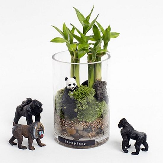 러브피어리 테라리움 대나무숲 동물피규어