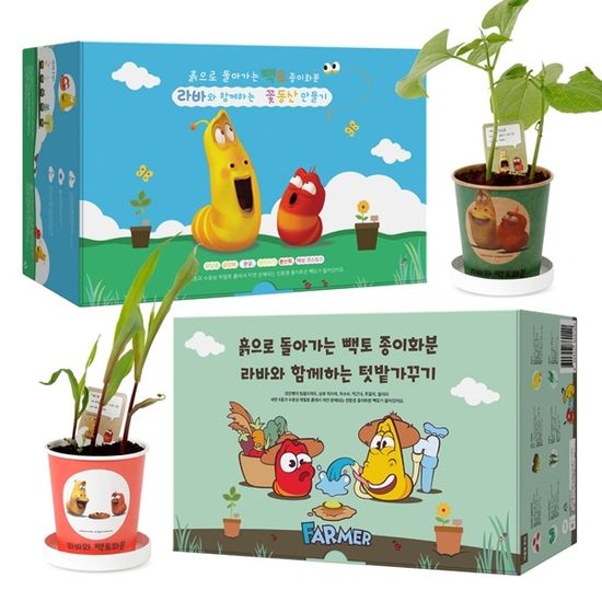 라바와 함께 식물기르기 세트 어린이 식물 키우기