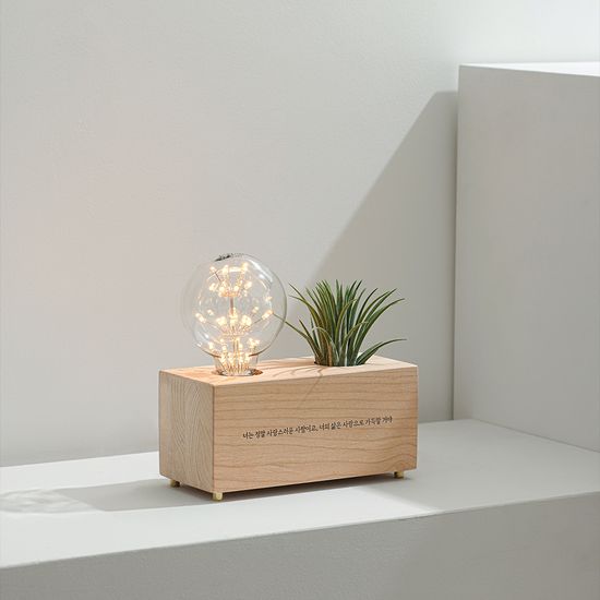 모던포인트 원목 각인 LED 화분 무드등