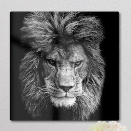 af118-폼아크릴액자38CmX38Cm_사자의카리스마