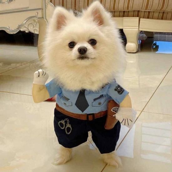 할로윈 코스프레 고양이 의사 간호사 경찰 강아지 옷