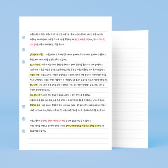 A5 6공 대용량 리필지 100매 모눈 다이어리 속지