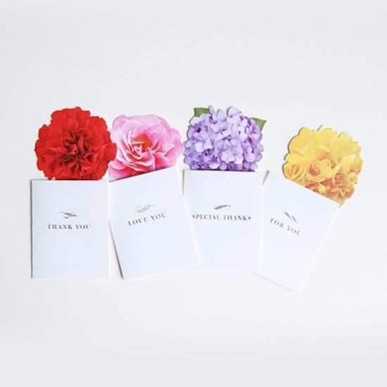 SEASON 플라워팝 카드 S