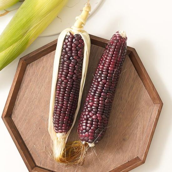 당일수확 담백고소 흑 찰옥수수 15개 (특품/15cm내외)