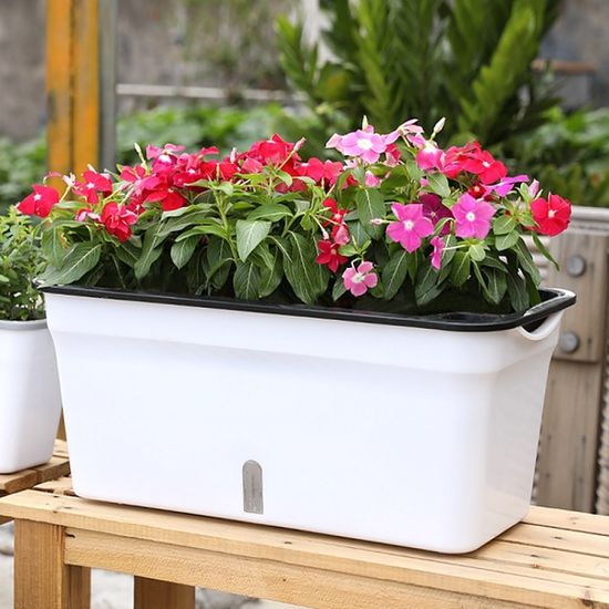 초록가든 자동급수 화분 상추 토마토 베란다 텃밭