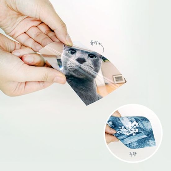 자석 인화지 피타에몬