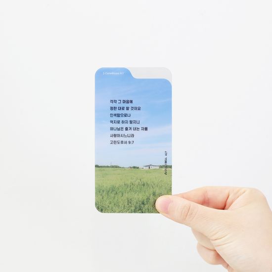 그레이스벨 피스비 북마크 03.그라운드(10개입)