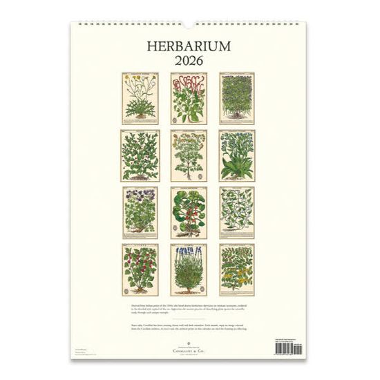 2026카발리니캘린더 Herbarium