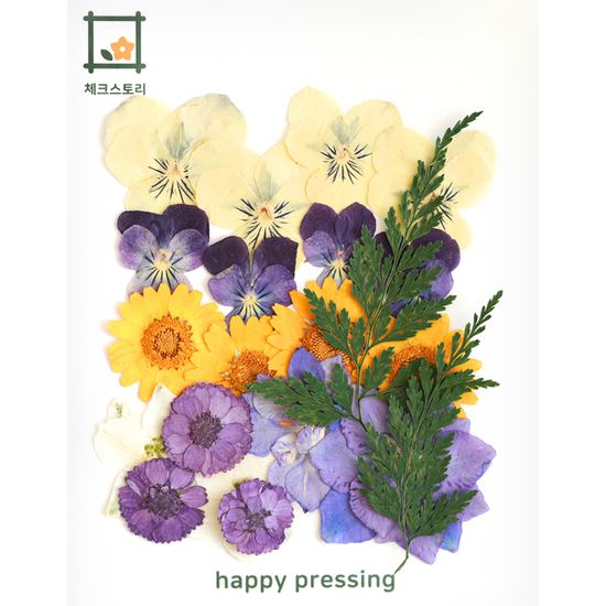 [압화 꽃모음 - A타입] 팬지마을 꽃모음