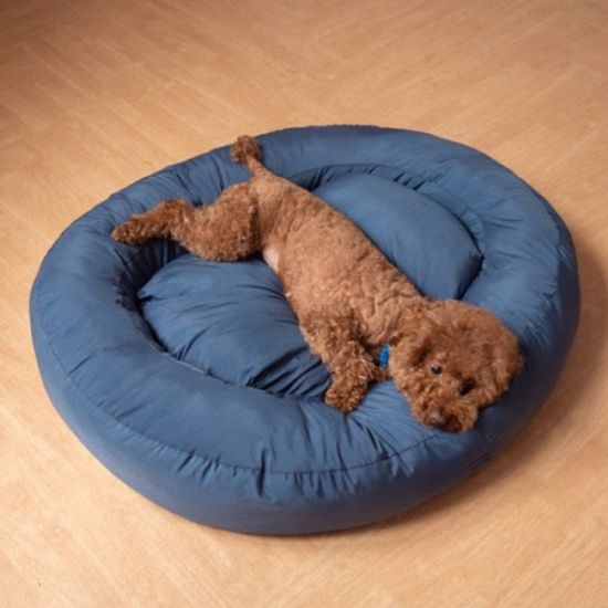 제리파파 말랑 패티 방석