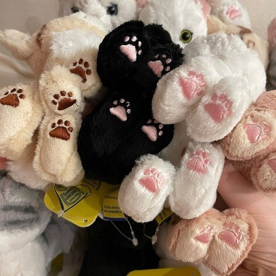 KITTEN★아기고양이 시리즈