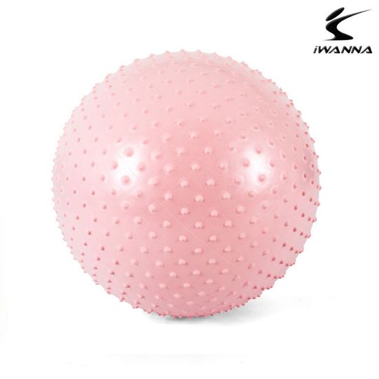 짐볼 다이어트 마사지 65cm 베이비핑크(WFJ7IE6)