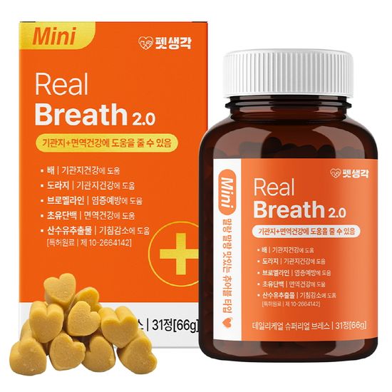 펫생각 MINI 데일리케얼 배도라지 강아지기관지영양제