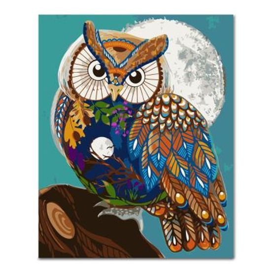 DIY 페인팅 - 달빛 부엉이 PEE52 (40x50)
