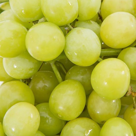 [자연예서] 칠레산 껍질째 먹는 청포도 2kg