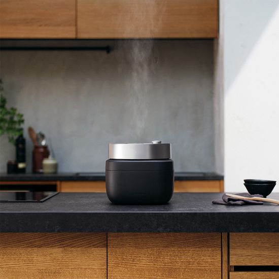 [공식수입원] 발뮤다 더 고항