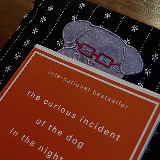 다독가 멍갈피 콩이&뭉치