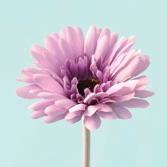 피어나 거베라 조화(라이트퍼플)조화장식 실내조경