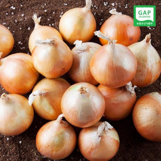 [산지직송] GAP인증 23년산 전남무안 양파 10kg (중)