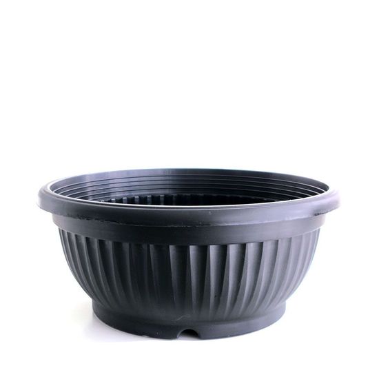 [와인앤쿡]분재 호박 포트 화분 5호 1개