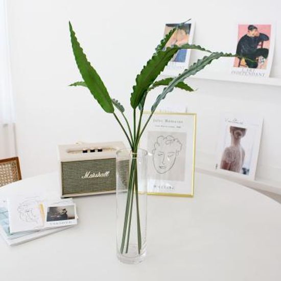 이너스 조화 주름 네프로네피스 부쉬 1P