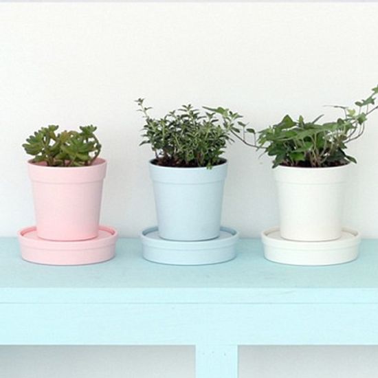 아이그루 셀프워터링 데스크팟 (핑크)