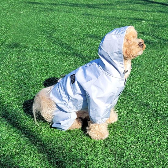 레토 올인원 강아지 우비 바람막이 (2 COLOR) LDR-A01