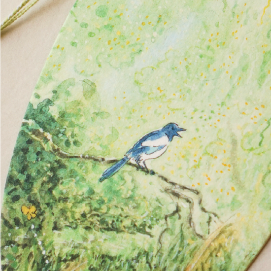 [새가 머무는 책갈피] 까치 - 좋은 소식이 있어!