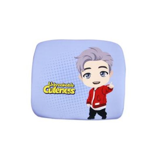 BTS 타이니탄 메모리폼등쿠션 알엠C83630